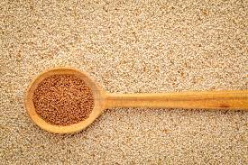 Teff, the grain used to make injera